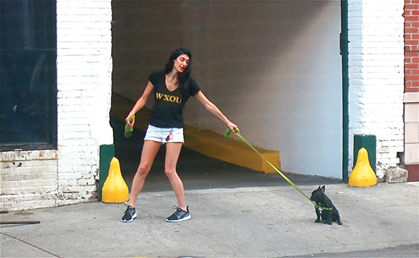 Maggie B’s Photo of the Month “NO! I WANT MY TREAT:” Before this Parking Garage changed hands a month or two ago, there was an employee—originally from Italy and a bit older than the rest—who kept an apparently unending supply of treats for the dogs passing by on their evening walks…especially if the person on the other end of the leash was an attractive young woman. Now he’s gone, and some dogs, like this little pup, find it hard to accept the fact that, sadly, there are no more treats. Explaining the nightly parade of canine visitors to the newcomers, I did drop a hint that maybe they could keep up the tradition—but no, afraid not. Photo and text by Maggie Berkvist.